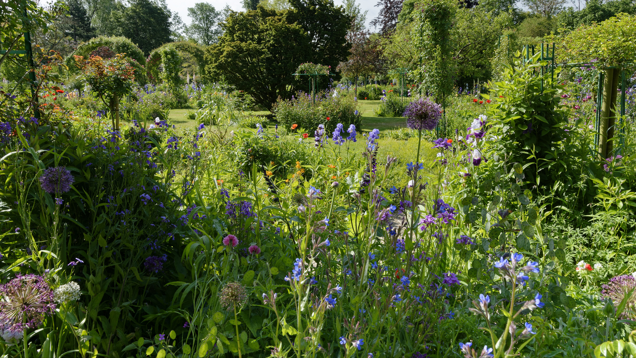 20190529-101744•Giverny (Jardin de Monet)•Limetz-Villez•Ile-de-France•France